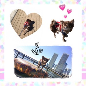 りくデート♡♡