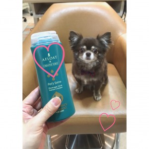dog shampoo❤︎