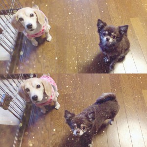 りくとの夏休み❤︎