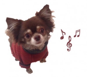 りくのお手入れ♪