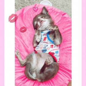 りくとの夏休み❤︎