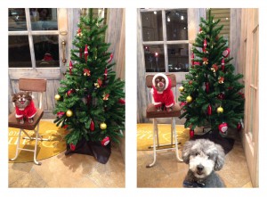 Christmas ♪♪