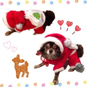 Christmas ♪♪