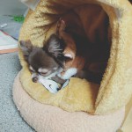 2月のお休み☆