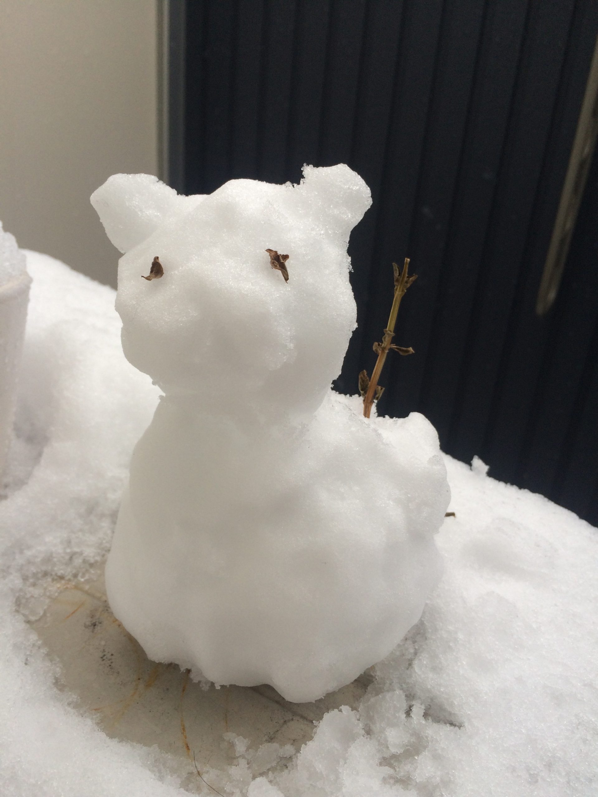 大雪の中…
