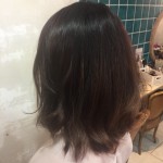 ハイライト