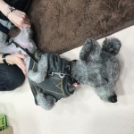 裏の癒し★