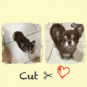 りくカット✂︎♡