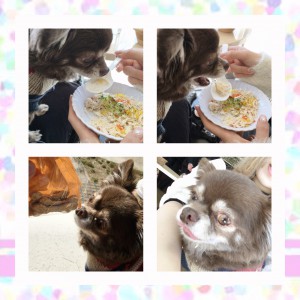 りくデート♡♡