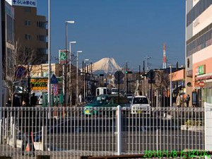 この時期の朝の日課✨