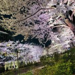 お休みのお知らせ