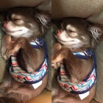 定 休 日 ★