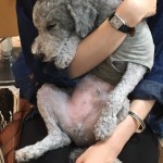 定 休 日 ★