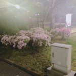 お休みのお知らせ