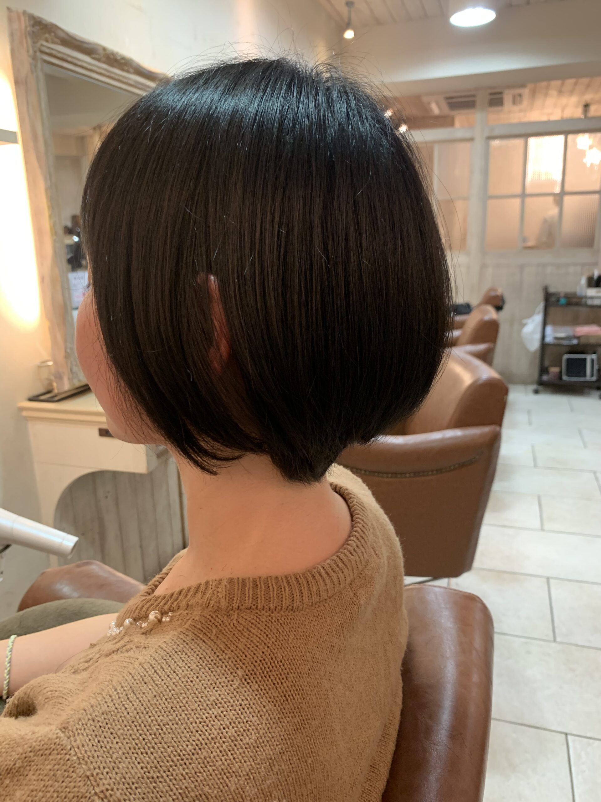 カットモデル✂️