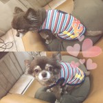 New …