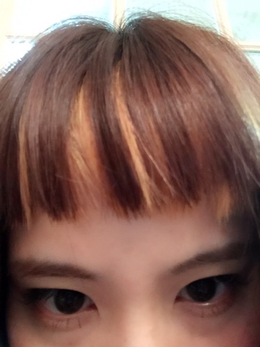 私は鳥になりました。