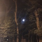 初詣