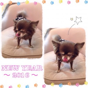 2016年 start ~ ❤︎