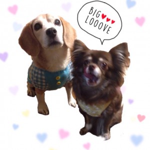 りくと私の5日間♡