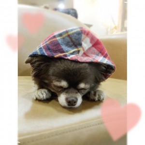 営業後の一コマ