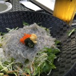 生シラス丼