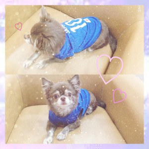r i k u ♡