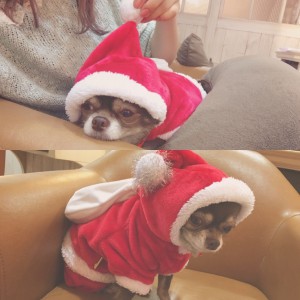 Christmas eve eve ~ ❤︎