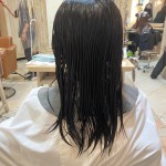 カットモデル✂️