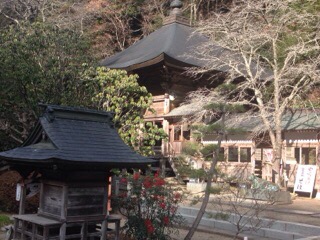 今年初ブログ