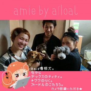 〜☆3匹のワンコ☆〜