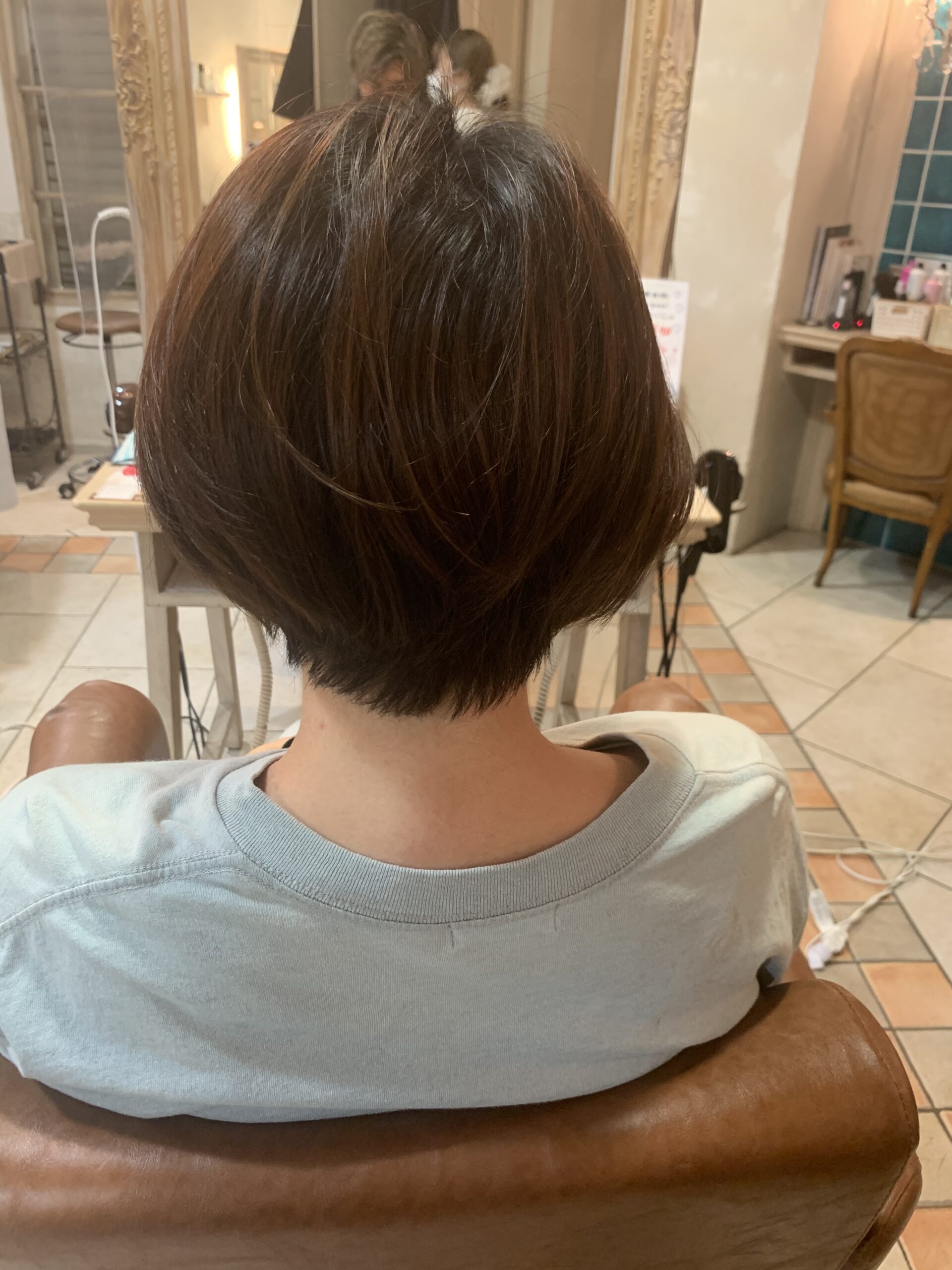 カットモデル✂️
