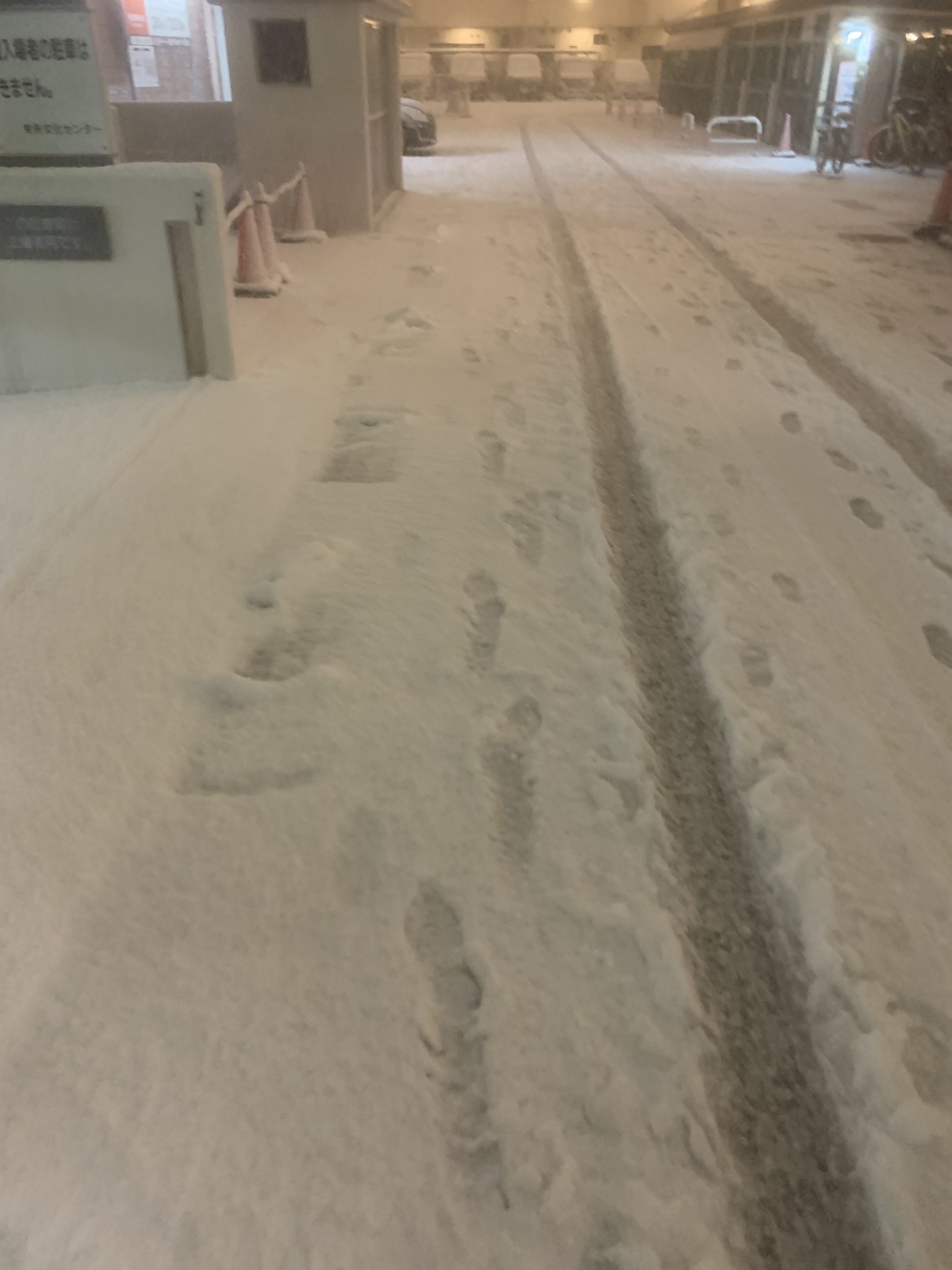 雪の中で