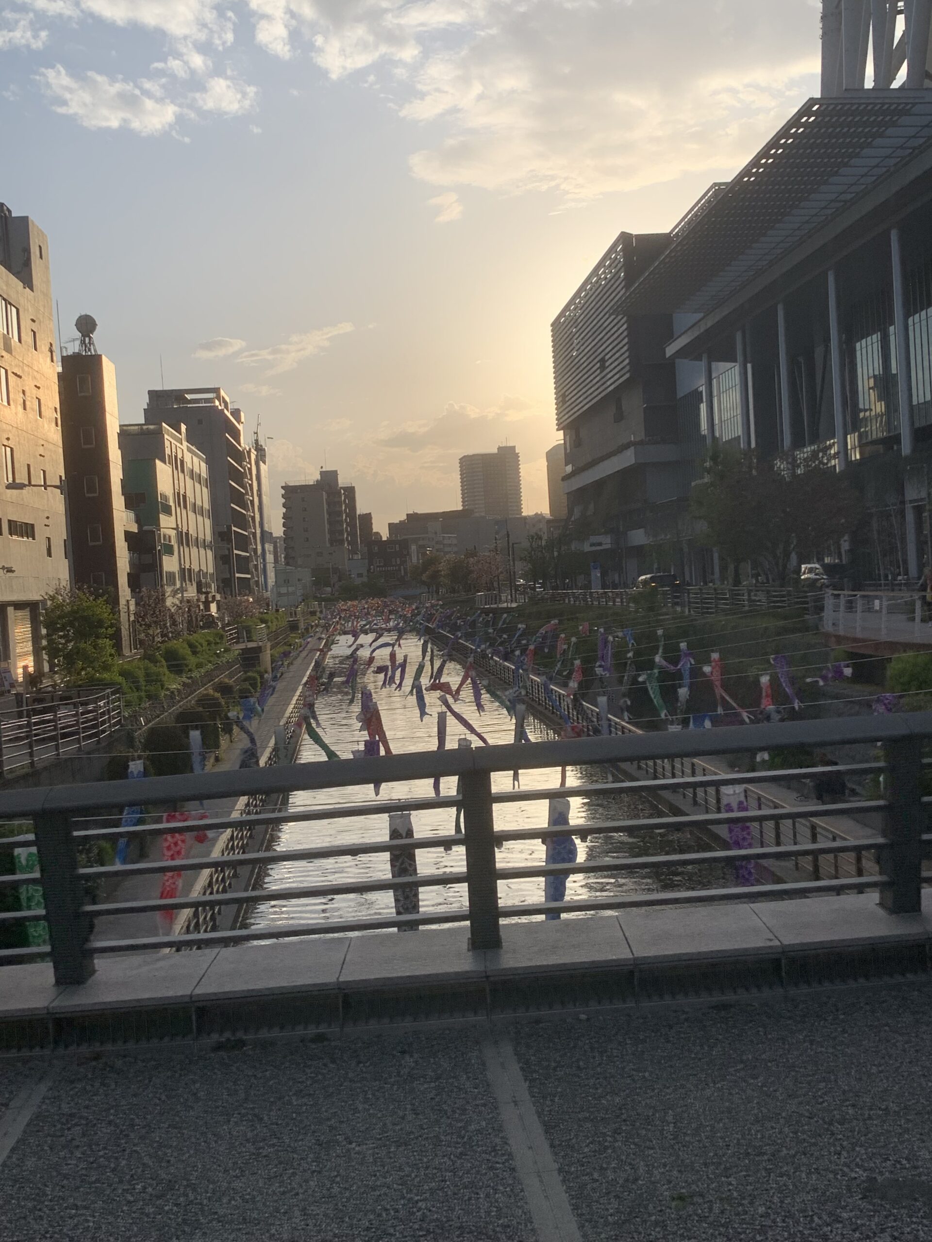 休日散歩