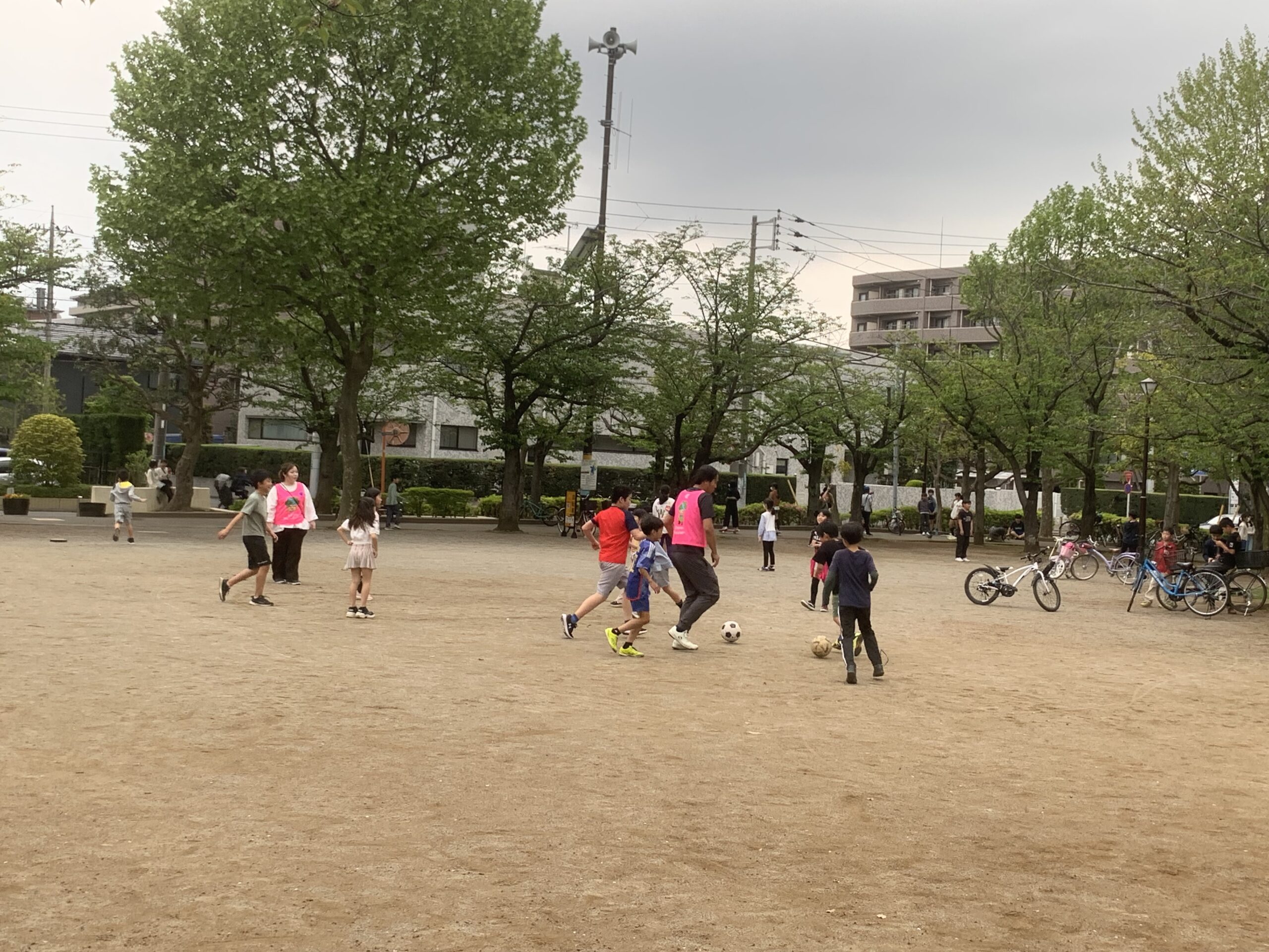 休日は公園へ