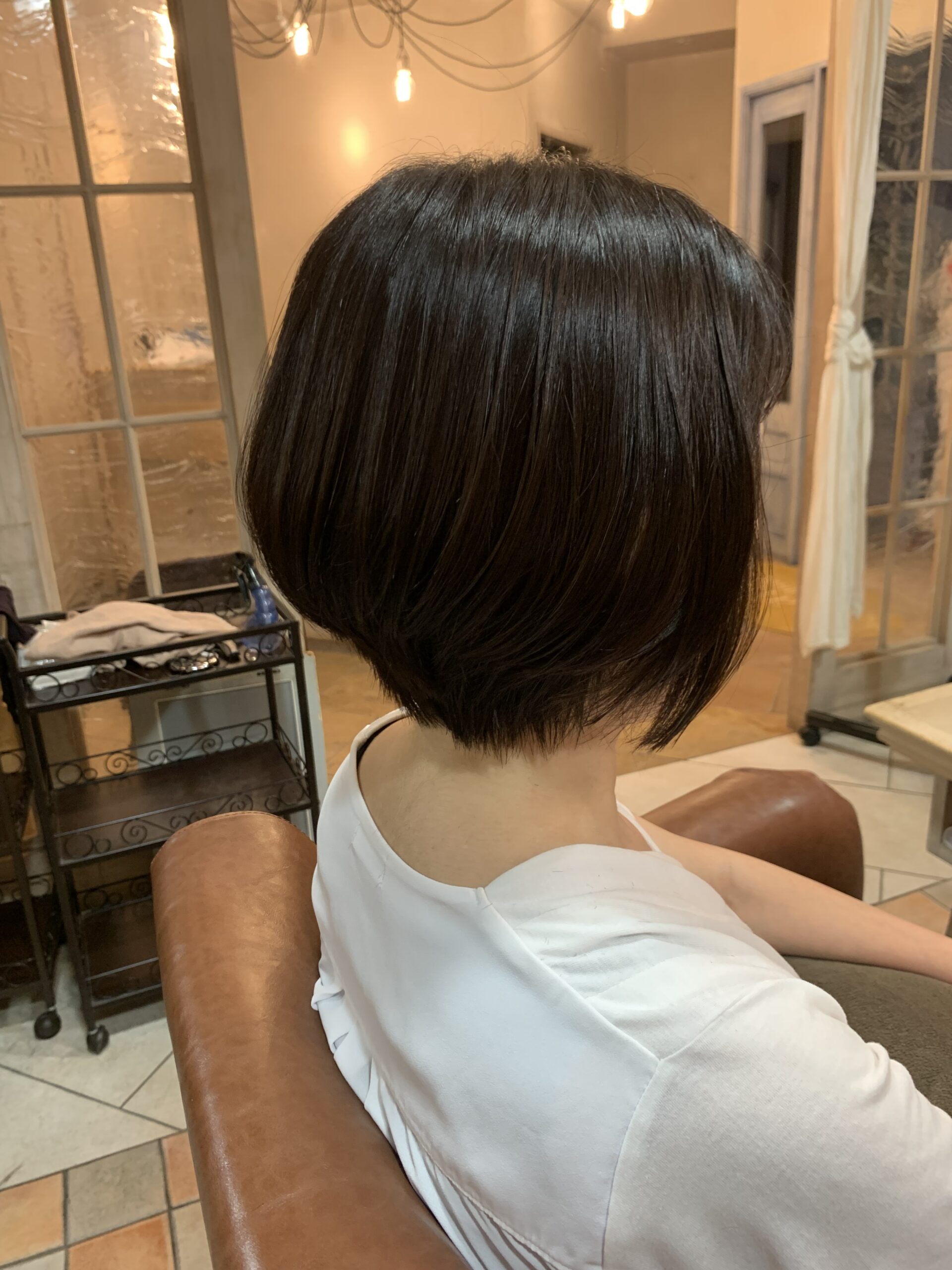 カットモデル✂️