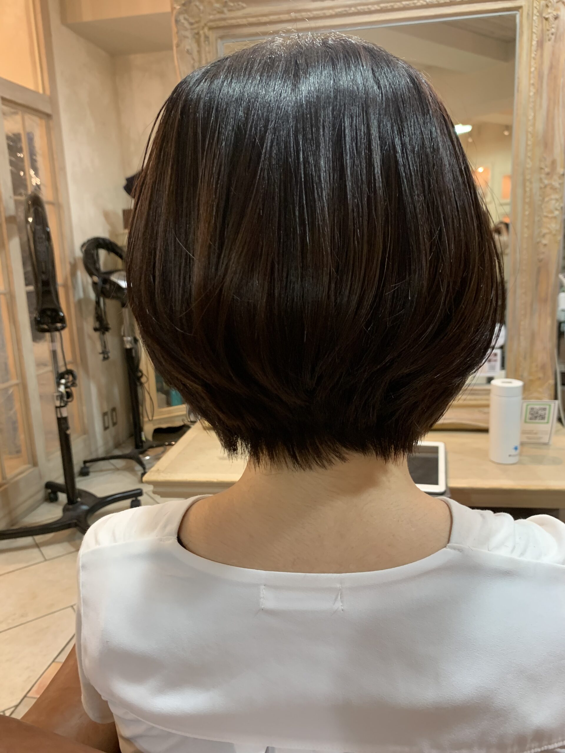 カットモデル✂️