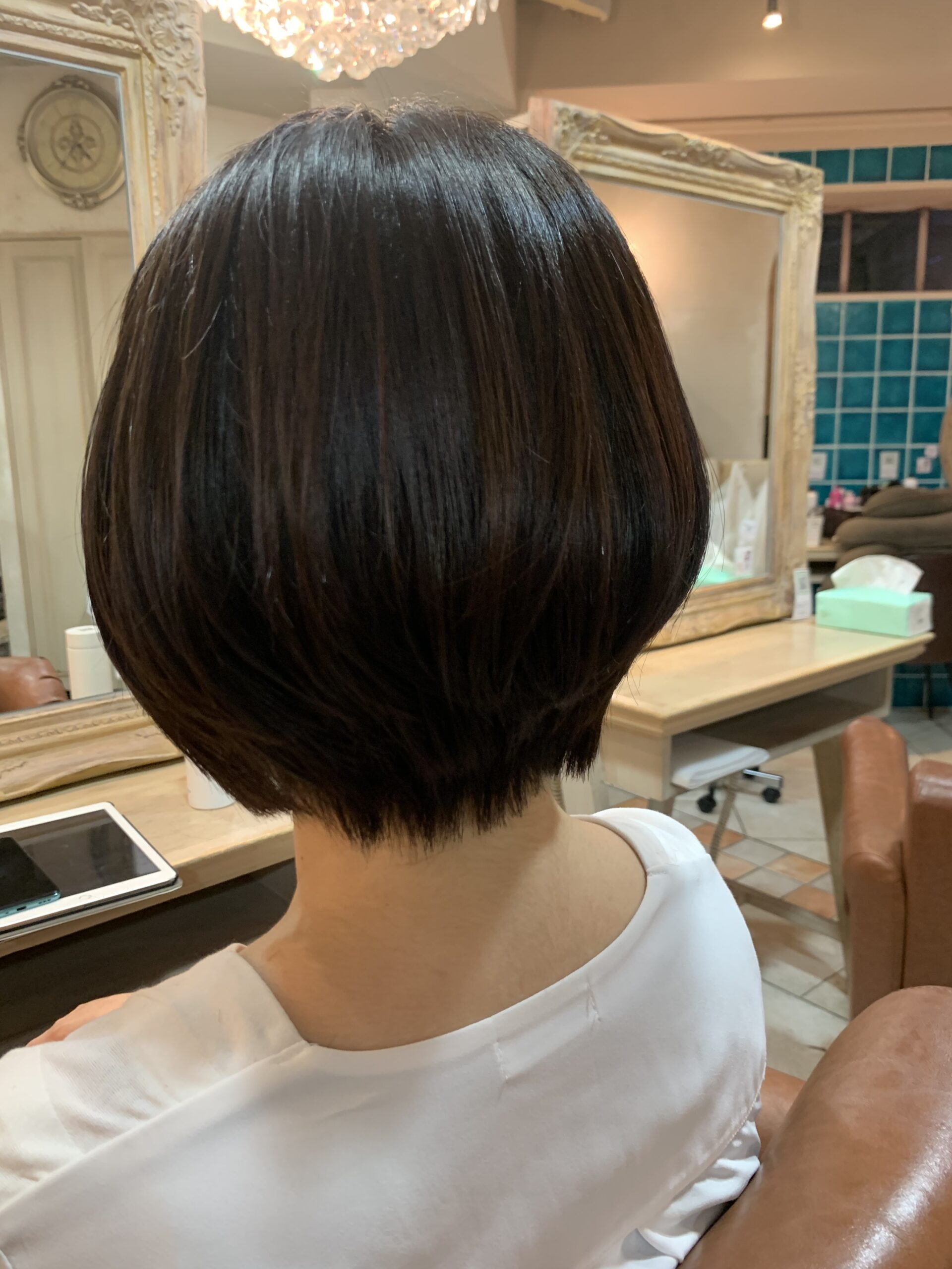 カットモデル✂️