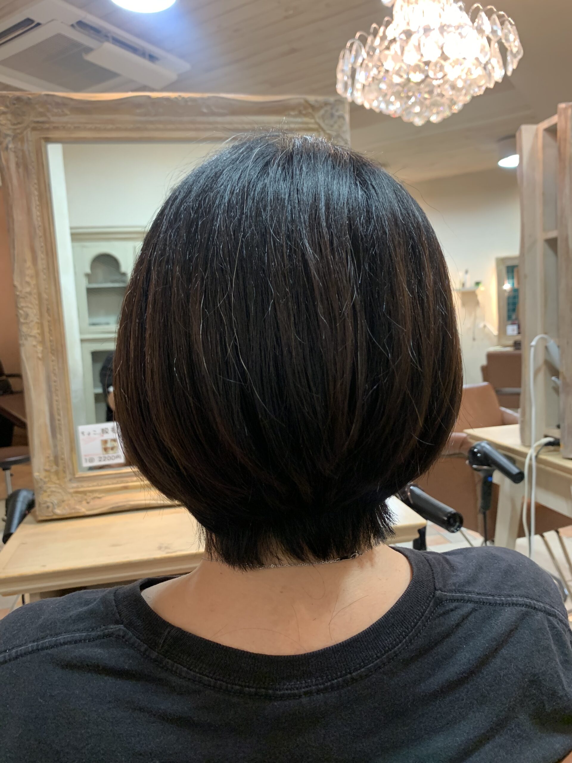 カットモデル✂️