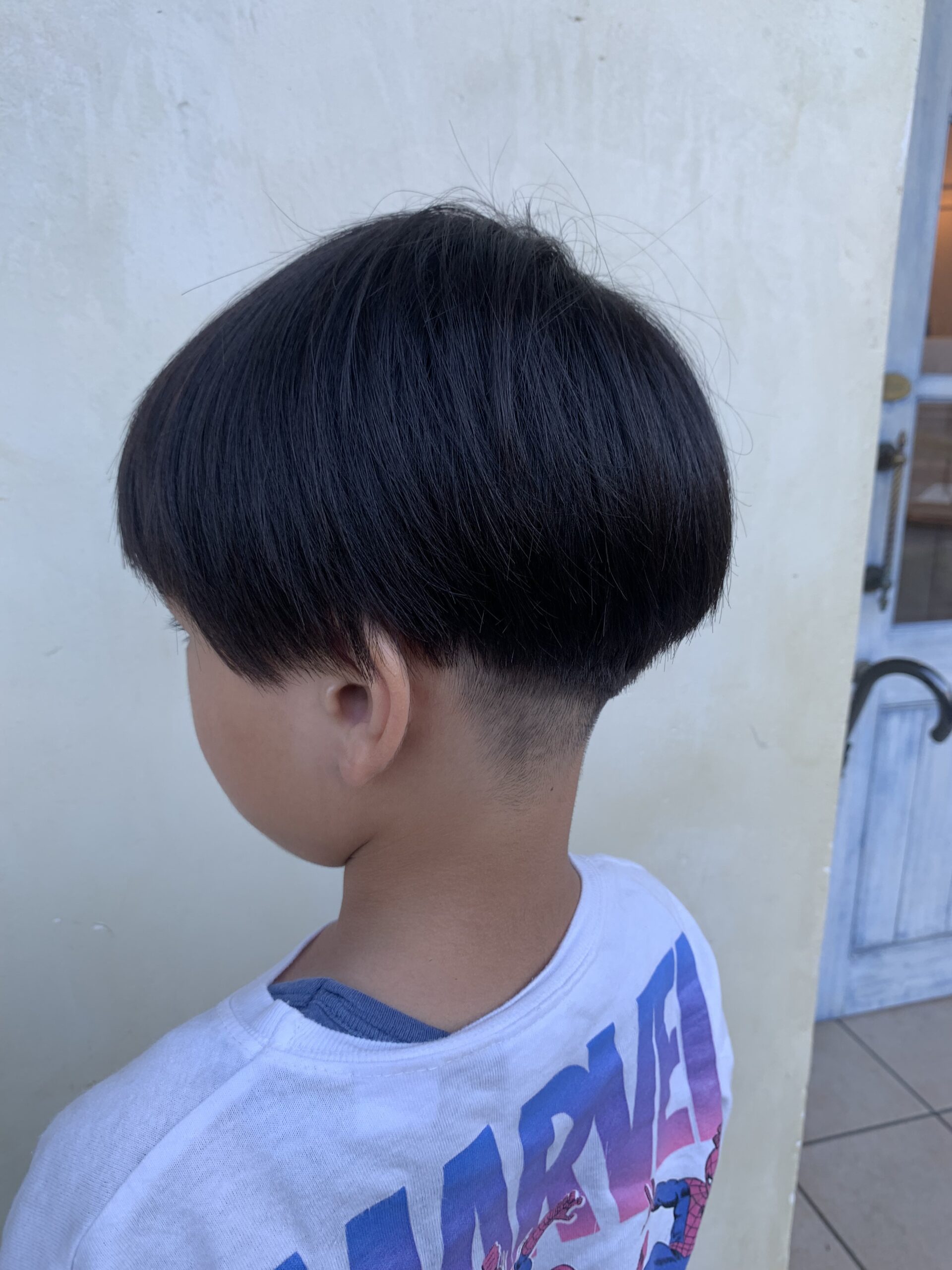 カットモデル✂️