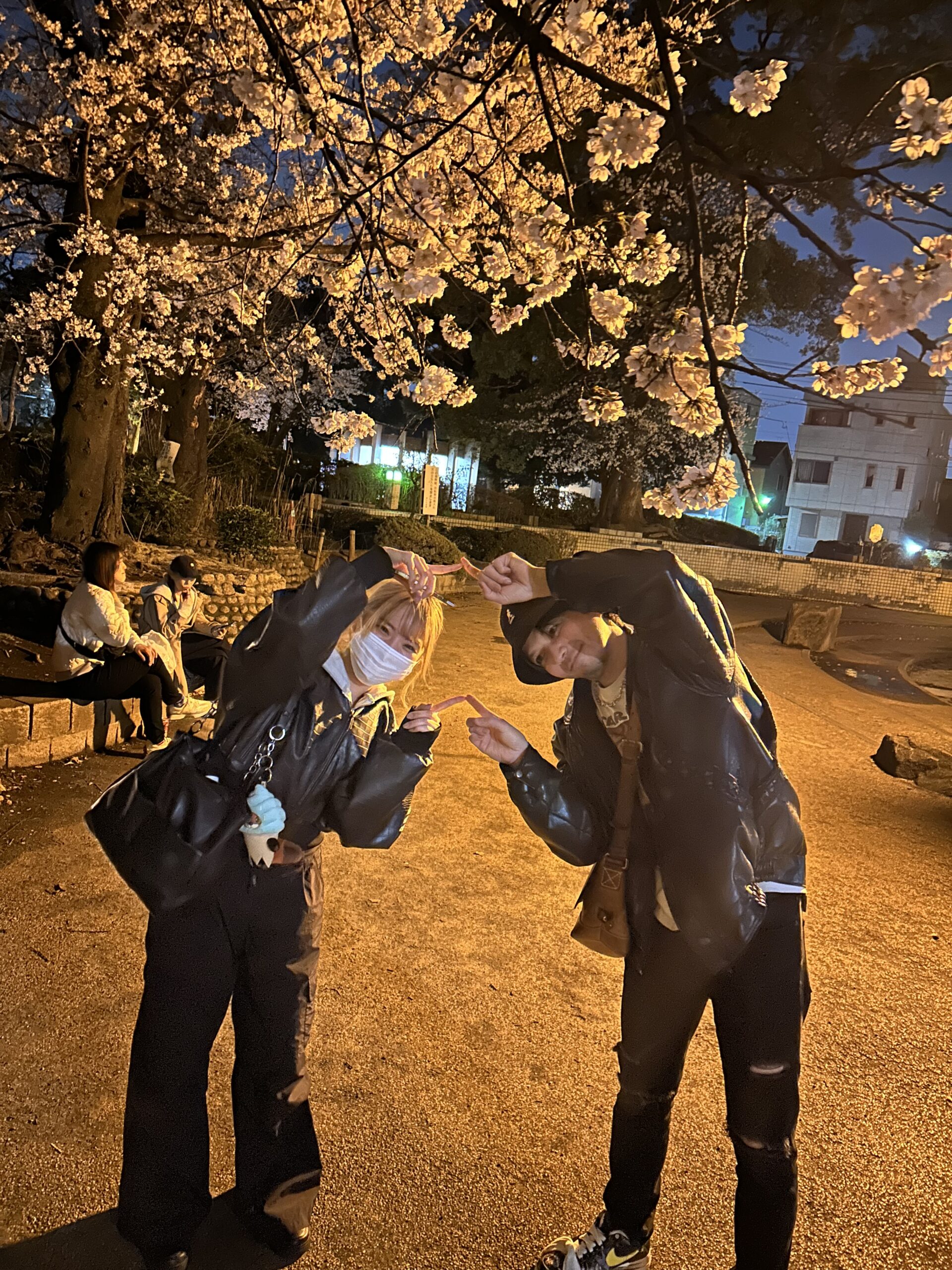 夜桜🌸