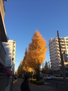いやーな静電気を防ぐには\( •̀ω•́ )/